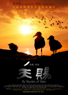 春妮的周末时光