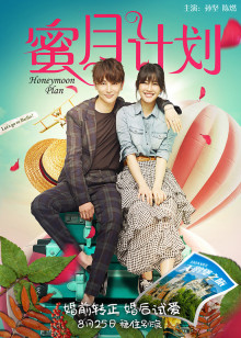 霹雳英雄榜之争王记