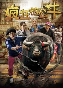 绝世情歌