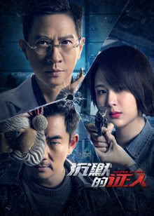 盗影谜情
